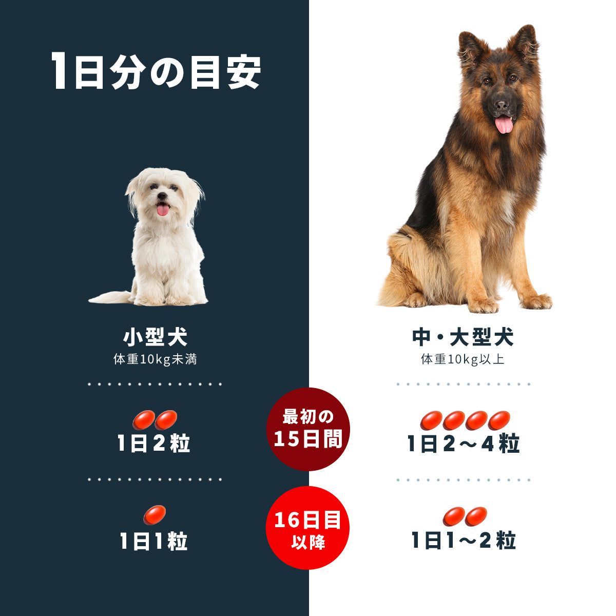 未開封　アンチノールプラス90粒 犬のサプリメント【アンチノール プラス】– ベッツペッツ公式サイト