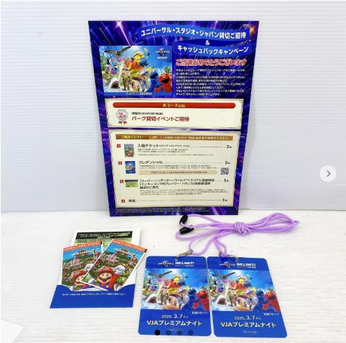 USJ ユニバーサルスタジオ ジャパン プレミアムナイト 貸し切り チケット 2枚 セット 