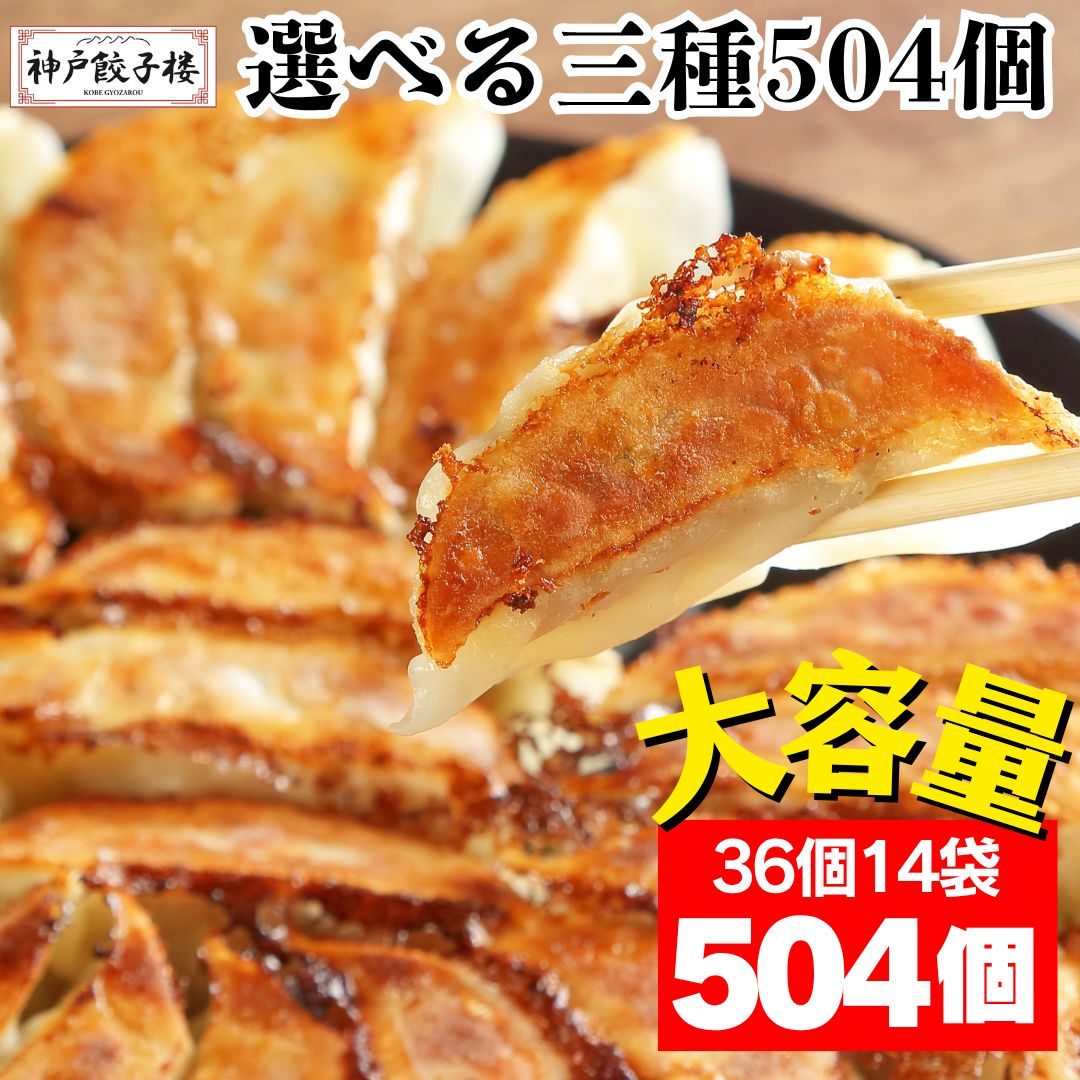 大容量 選べる 餃子504個 36個14袋 便利なチャック袋入り しょうが餃子 わんぱく餃子 黒豚にんにく餃子