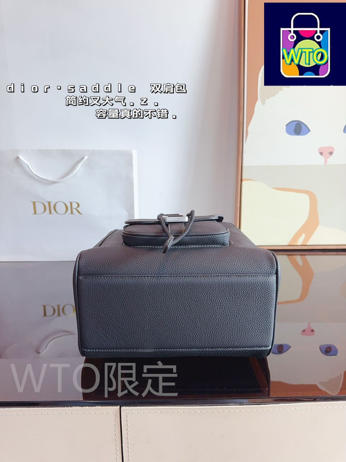 ディオールのショルダーバッグ、すなわちハンドバッグのバッグ