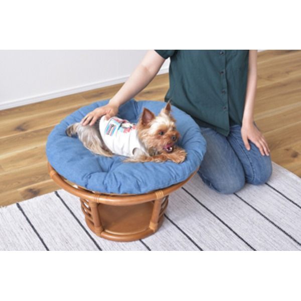  ペット用スツール ペット用品 約直径55×高さ35 cm 静的耐荷重80 kg 取り外し式 クッション付き ラタン 完成品 プレゼント ベッド クッション ベッド クッション ハウス