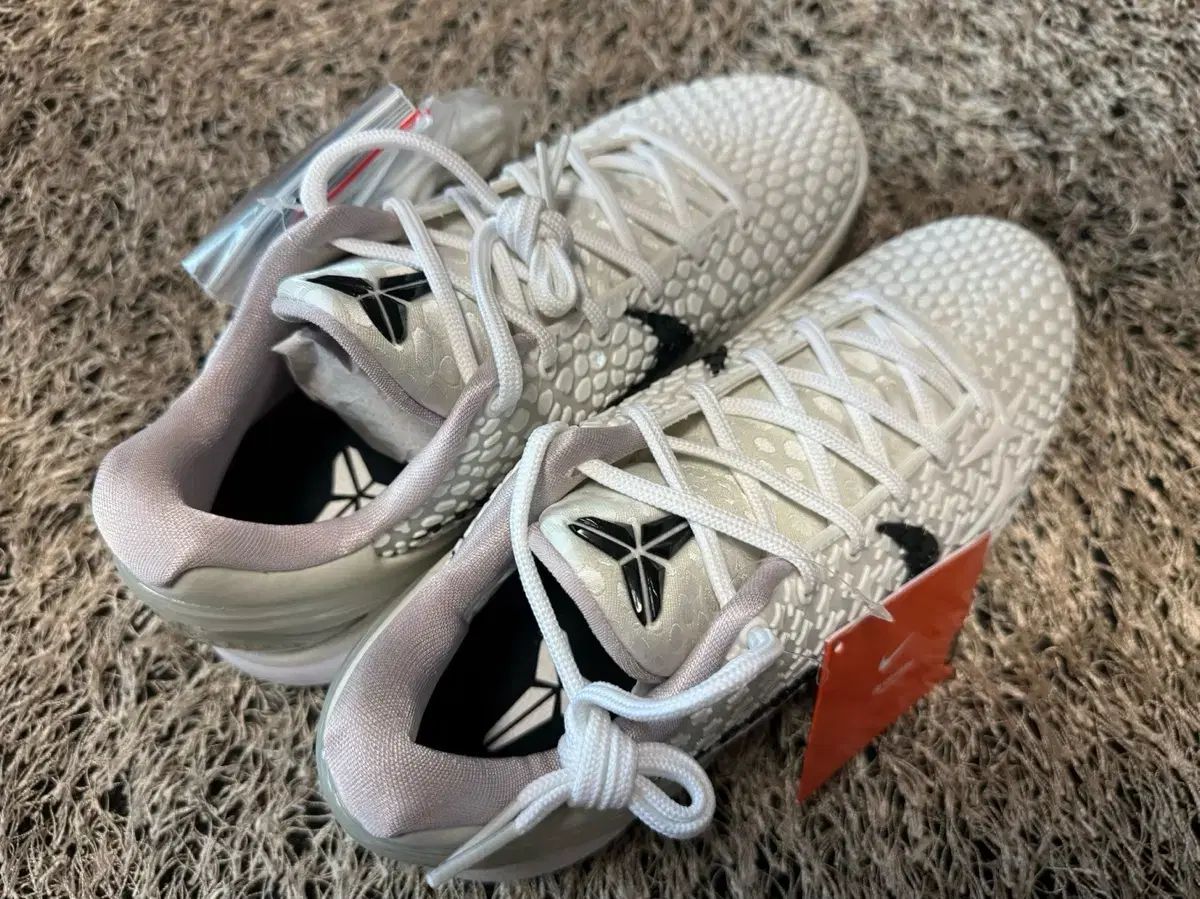 Nike Kobe 6 Protro /