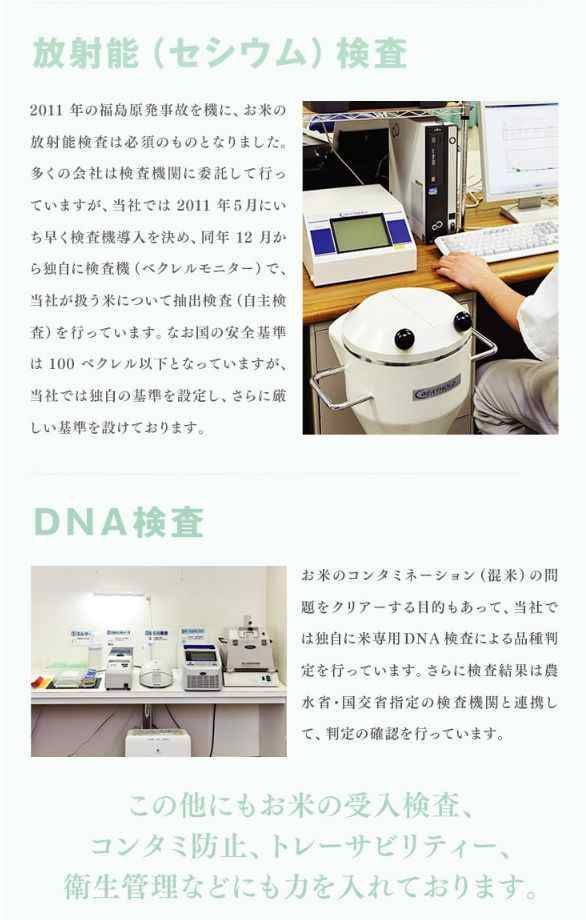 はえぬき 無洗米