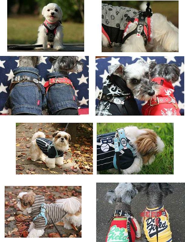 BUDDYBELT 犬用