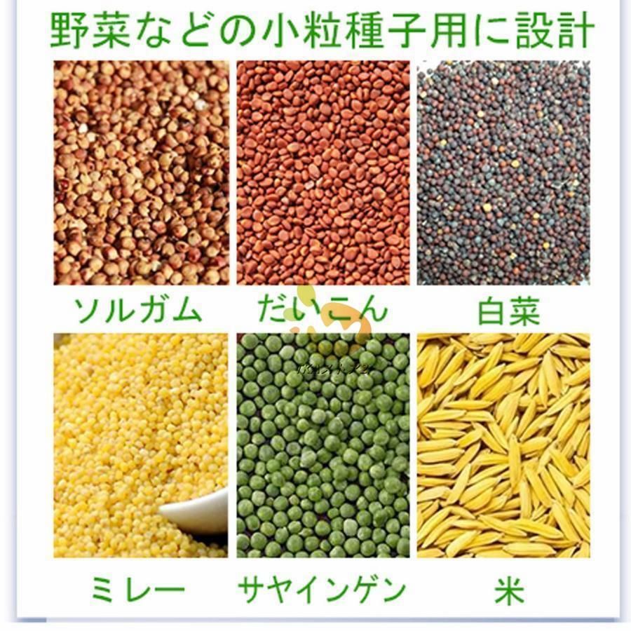 ケール 大根