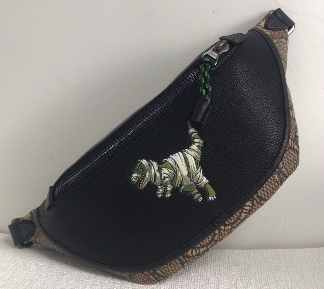 ◇新品◇COACHバッグ C6928 レキシー コーチ Xマイケル ジョーダン