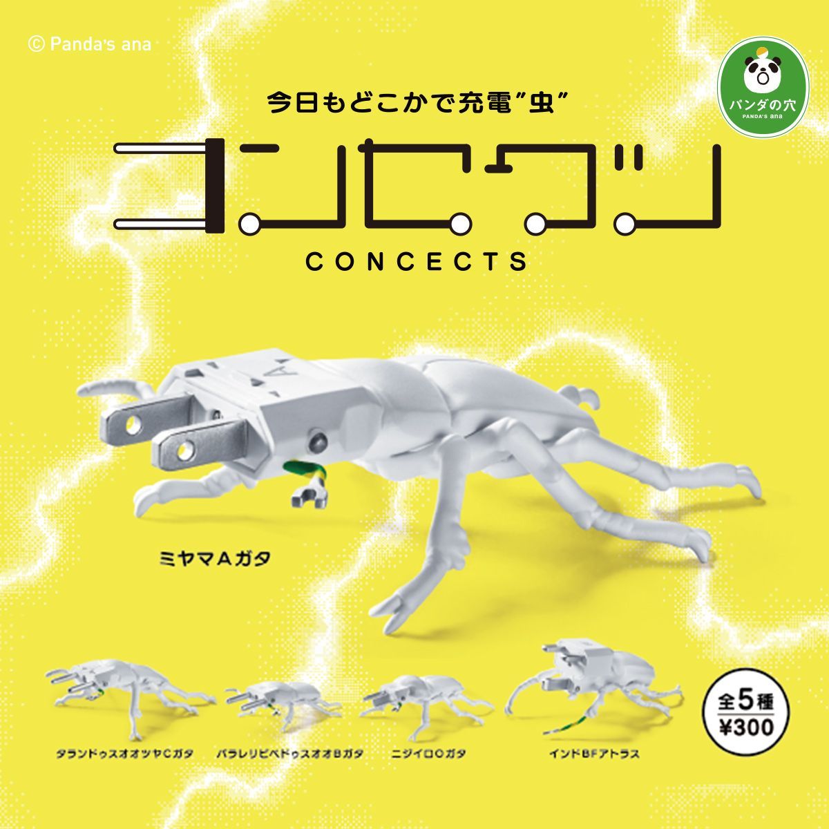 パンダの穴」シリーズ第92弾！パンダの穴 コンセクツ - メルカリ