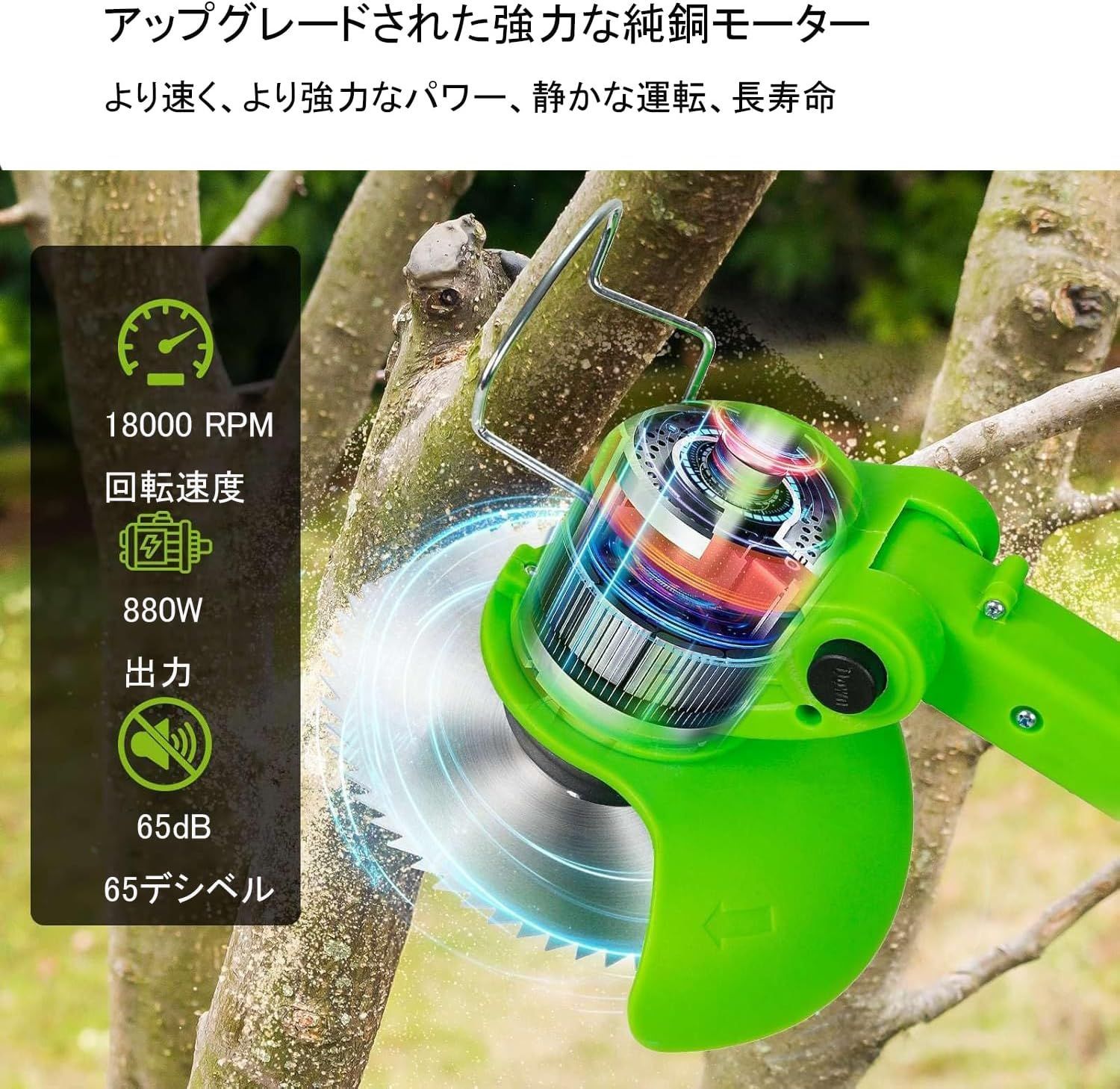 敷地