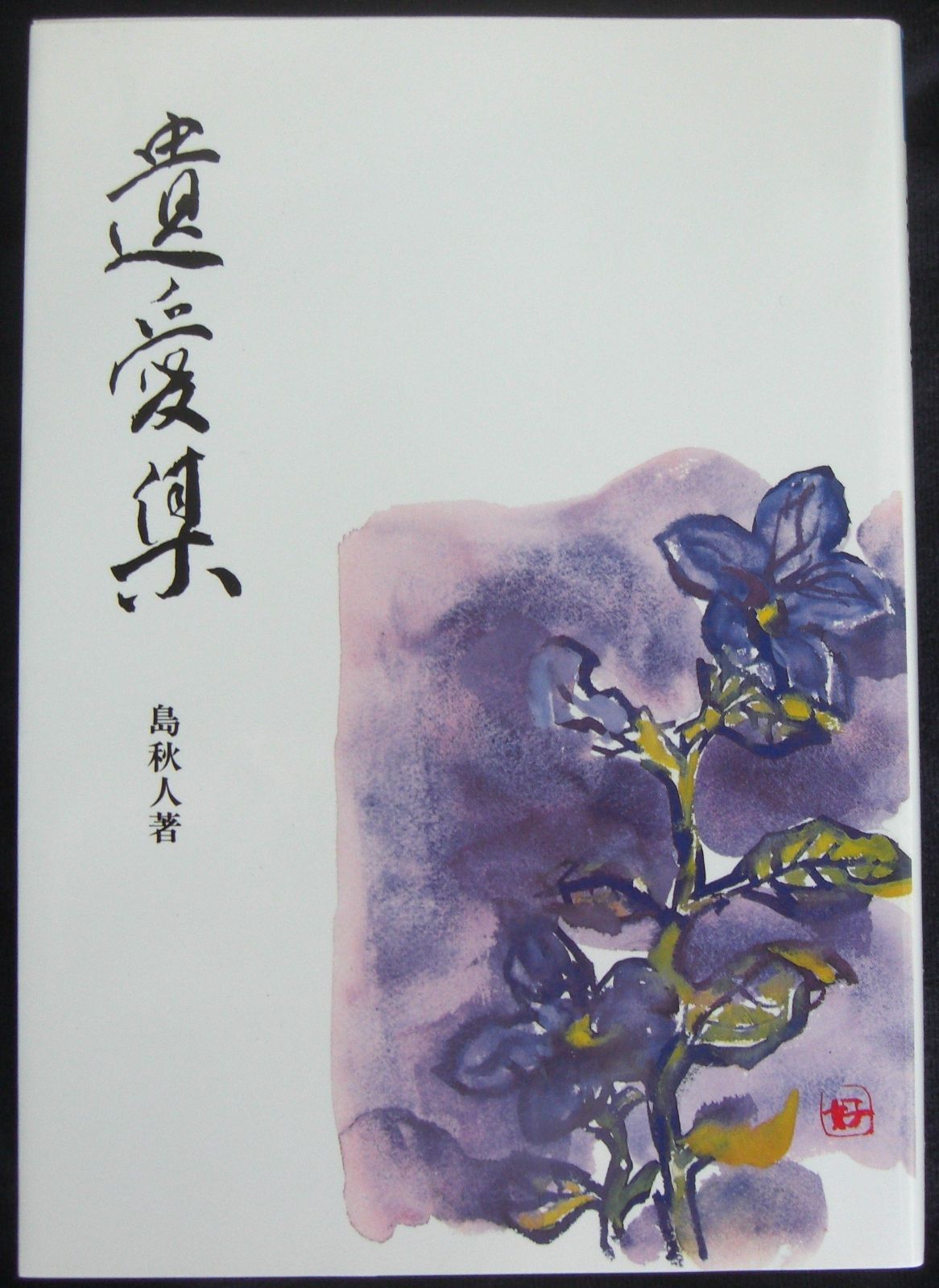 遺愛集 新装 東京美術選書 9