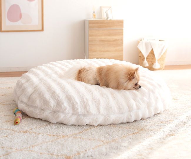 もこもこ座椅子