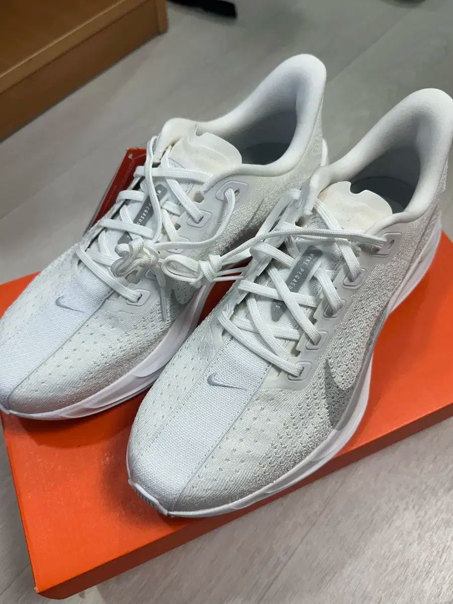 NIKE ナイキ ペガサス プラス 265