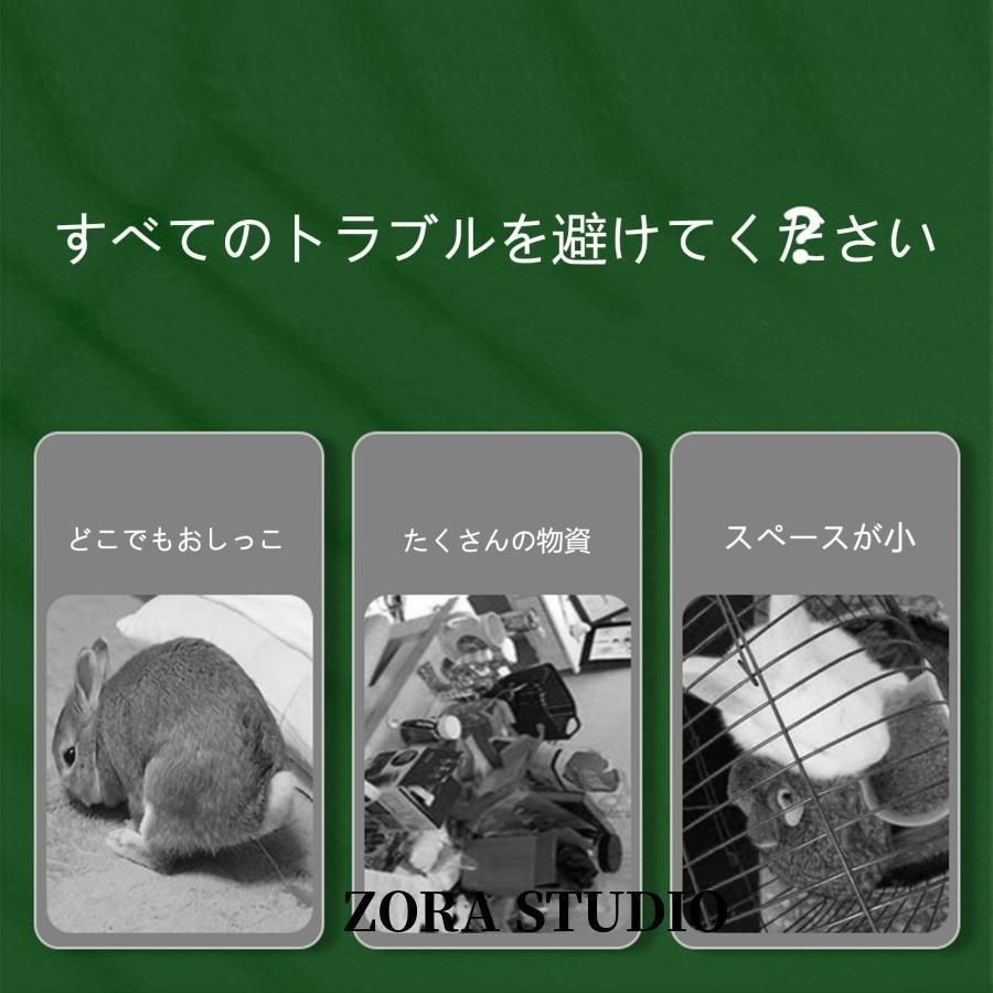 小動物 大きい兎