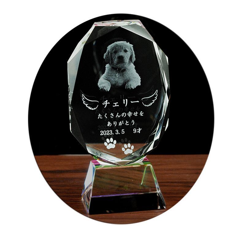 デプス サイドワインダーバレットショットGP サイドワインダーGP