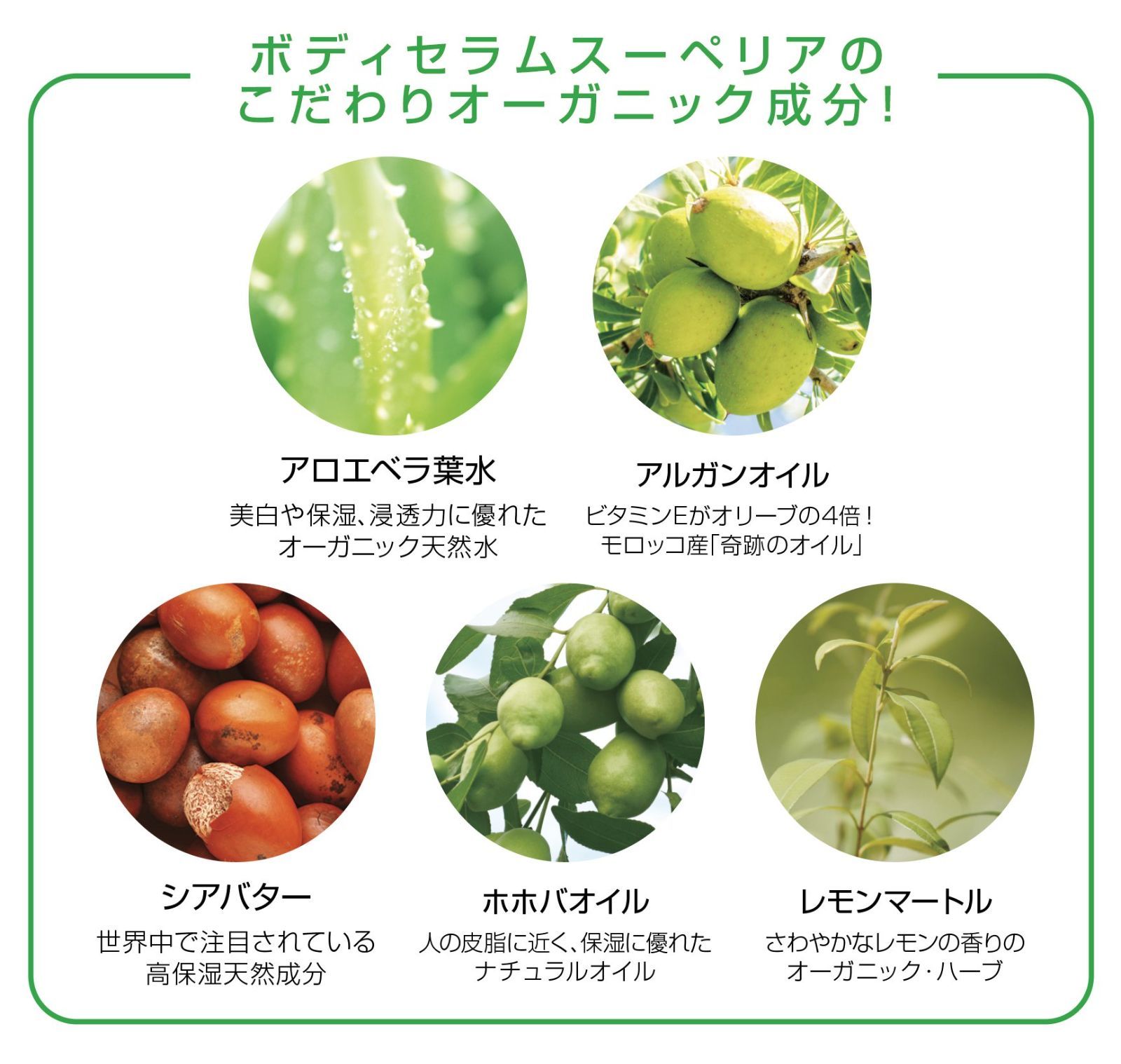 24時間以内発送】無着色 高保湿 セラムスーペリア450ml