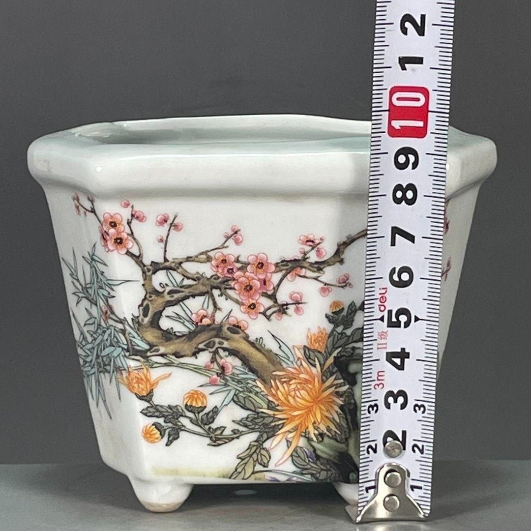 浮彫彩竜紋鉢 盆栽鉢 植木鉢 小品盆栽鉢 大品盆栽鉢