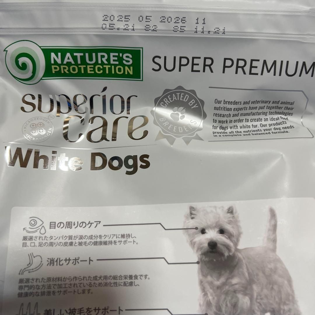 サーモン アダルト