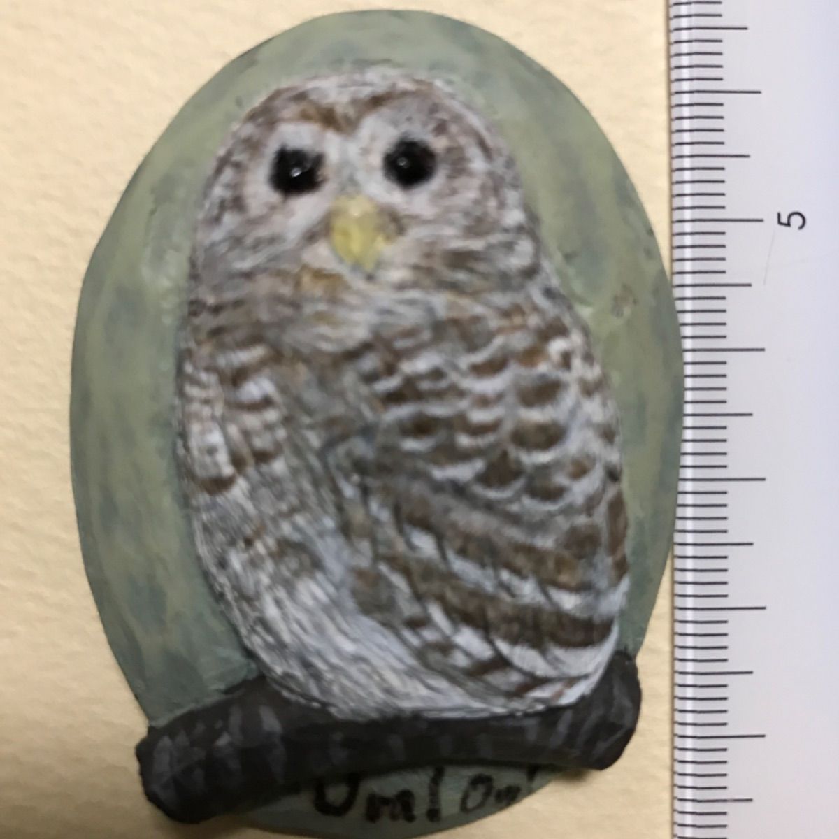 「フクロウのひな」ボータイ（ループタイ）
