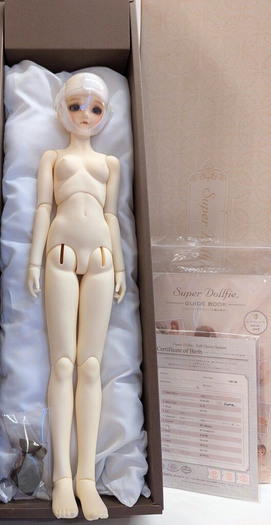 ボークス フルチョイス SD13女の子 F-81 ホワイト