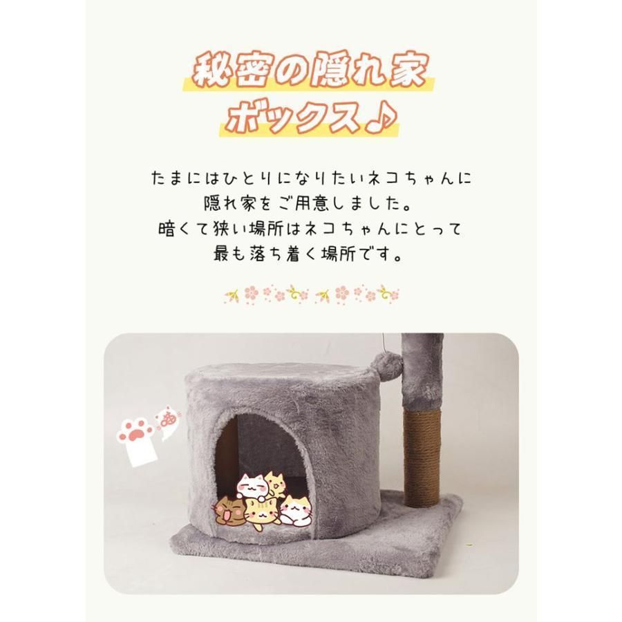 シニア