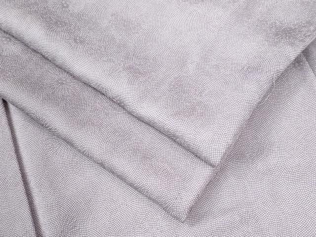 平和屋着物○江戸小紋 鮫小紋柄 舞花地紋 正絹 逸品 CAAU2698yc - メルカリ