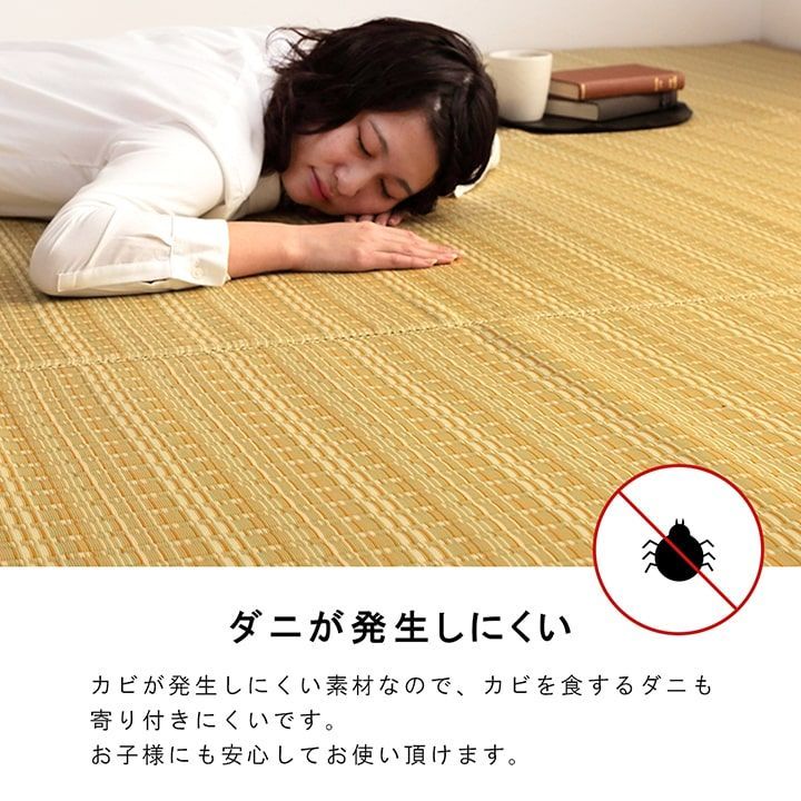 洗える カーペット ダイニングラグ 日本製 国産 除菌スプレー対応 ござ