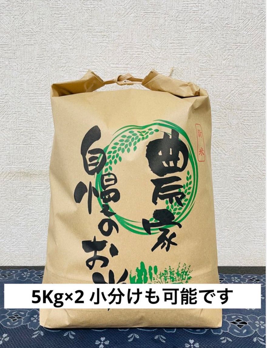 農家直送‼️令和５年度☆新米☆秋田県産 これが本場のあきたこまち精米