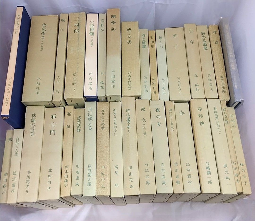 精選 名著復刻全集 近代文学館 全32作品 + 作品解題 + 「東京