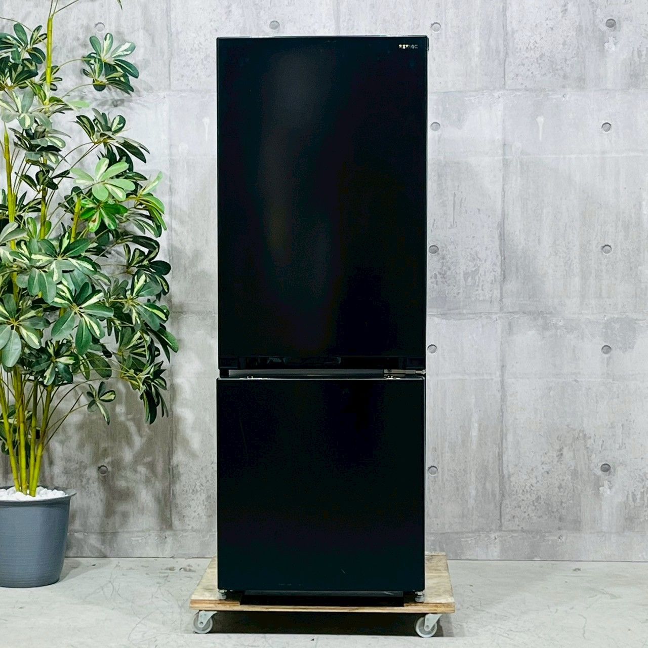 REFAGE 2枚ドア冷蔵庫 2024年製