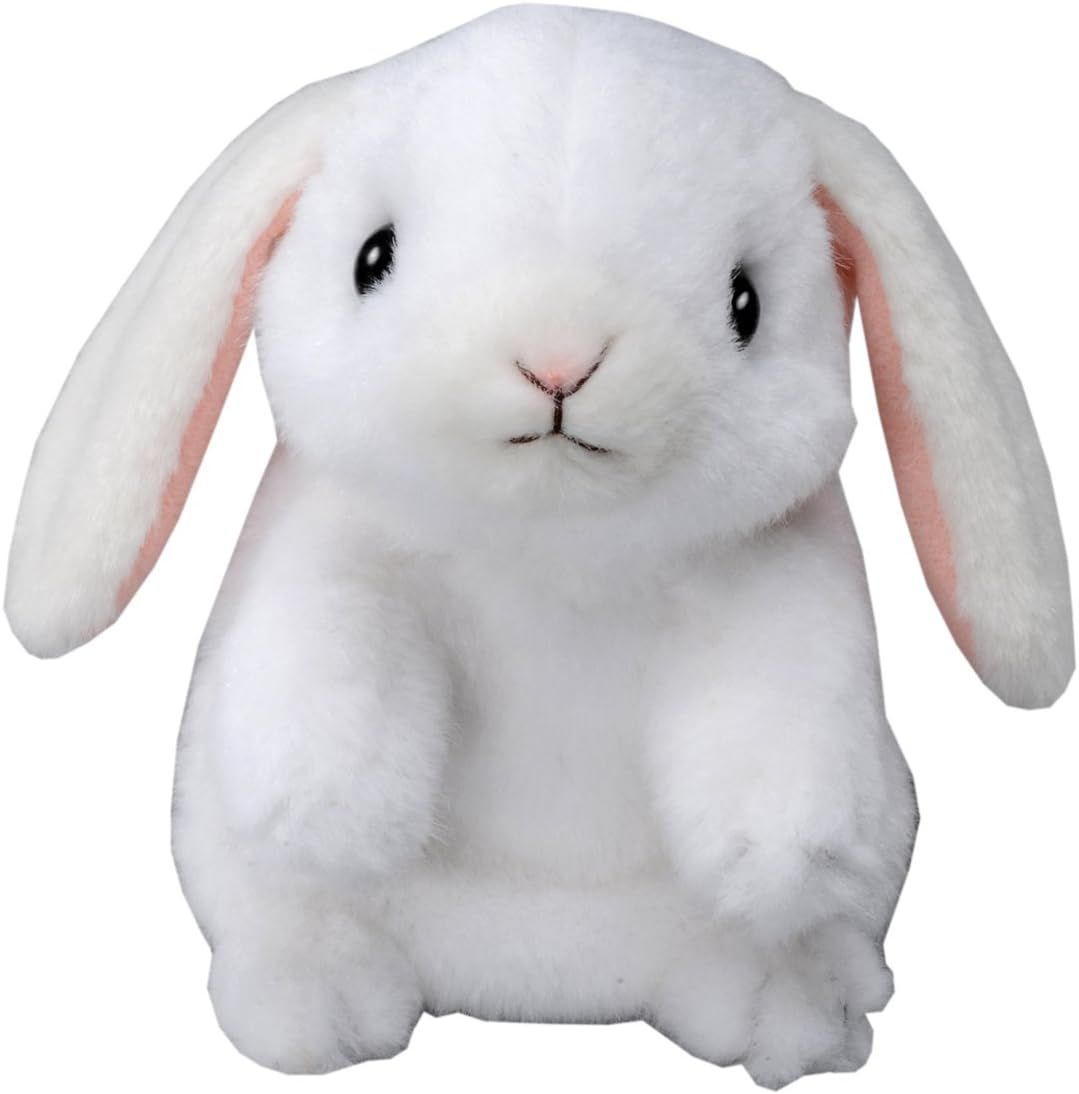 新品☆一流手工品古琴☆純漆】鄭孟金監制 蕉葉式（バナナリーフ）演奏