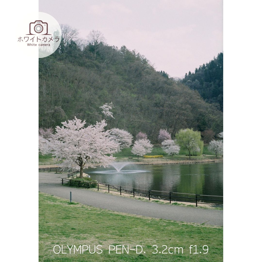 OLYMPUS PEN-D