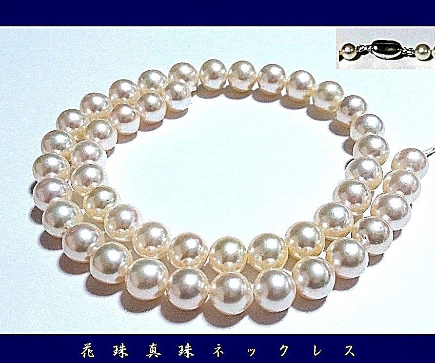 タイムセール）昨年の2～3倍前後に 現品のみ超破格値にて提供  