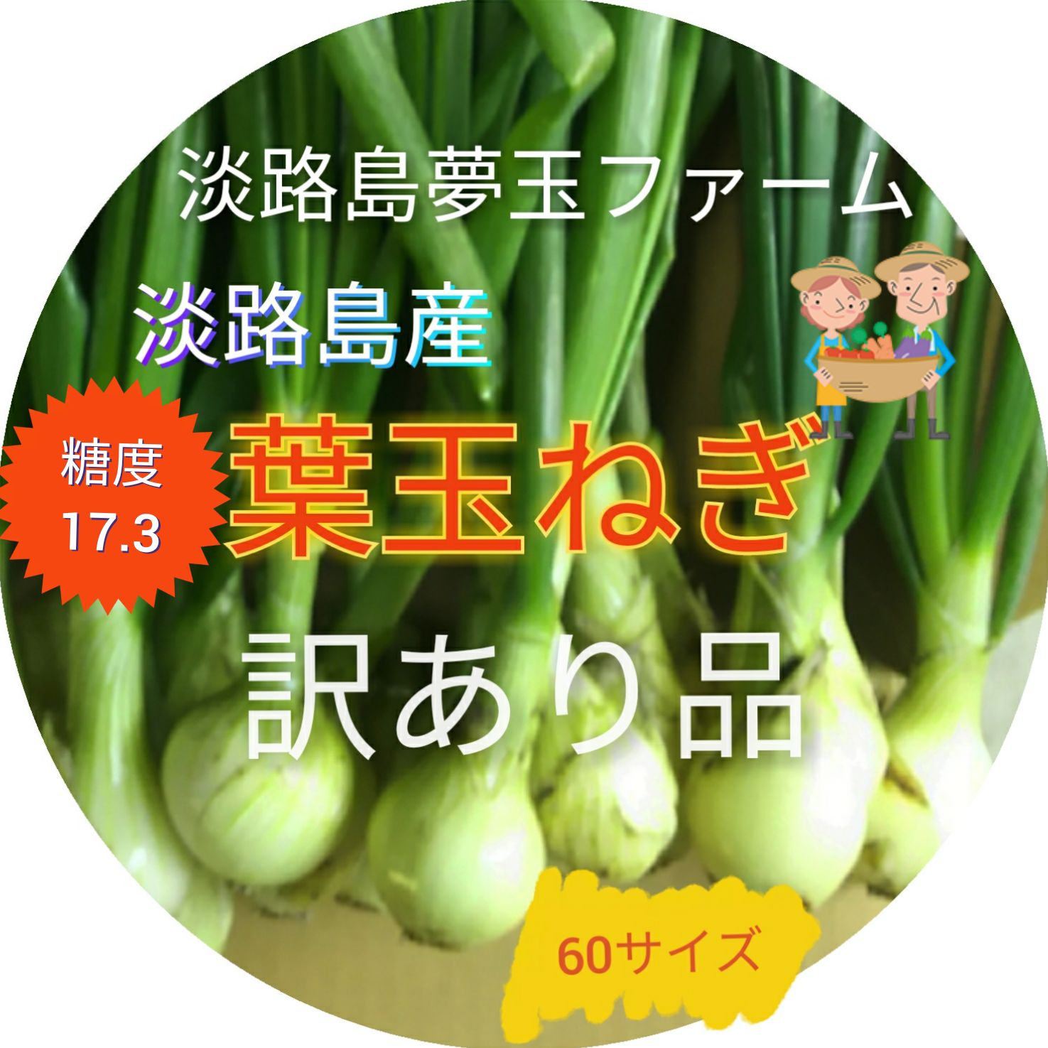 よし様専用 淡路島産新玉ねぎ 茎付き スーパーアップ 5kg×2箱 夢