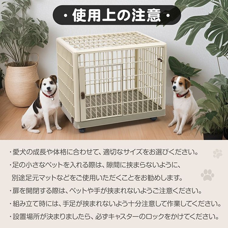 丈夫