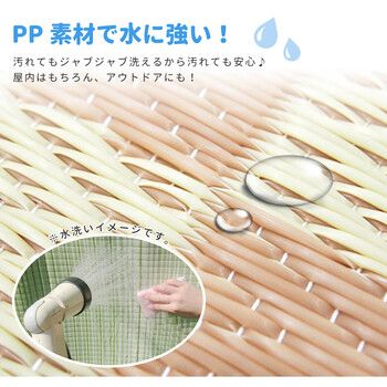 PPラグ 江戸間6畳