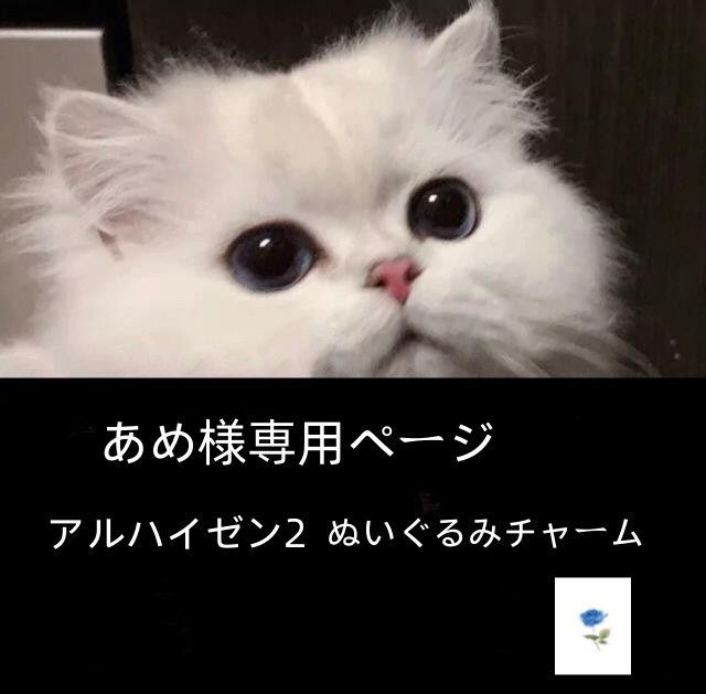 あめさま専用ページ-