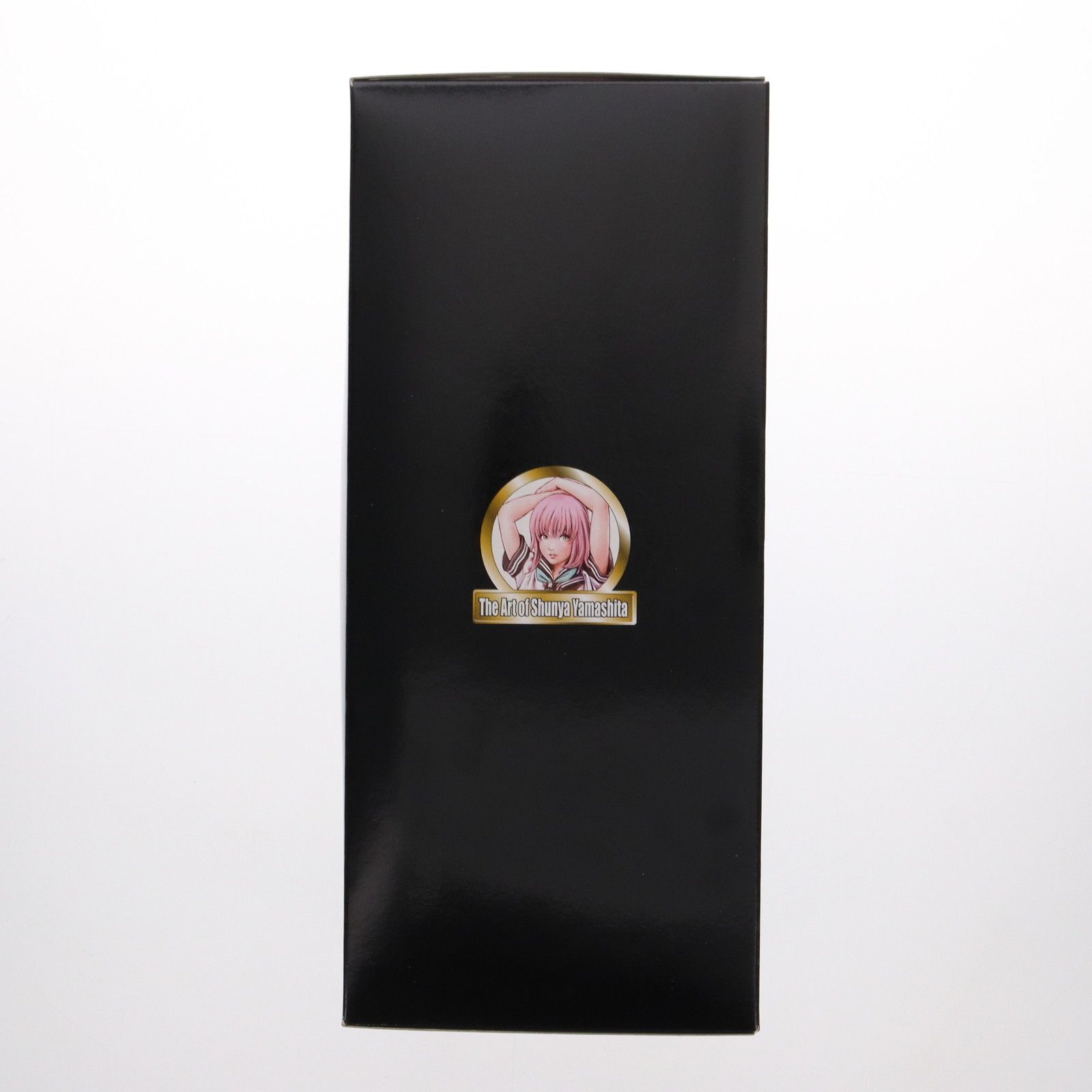 コトブキヤ限定 セラちゃん The Art Of Shunya Yamashita 1/7