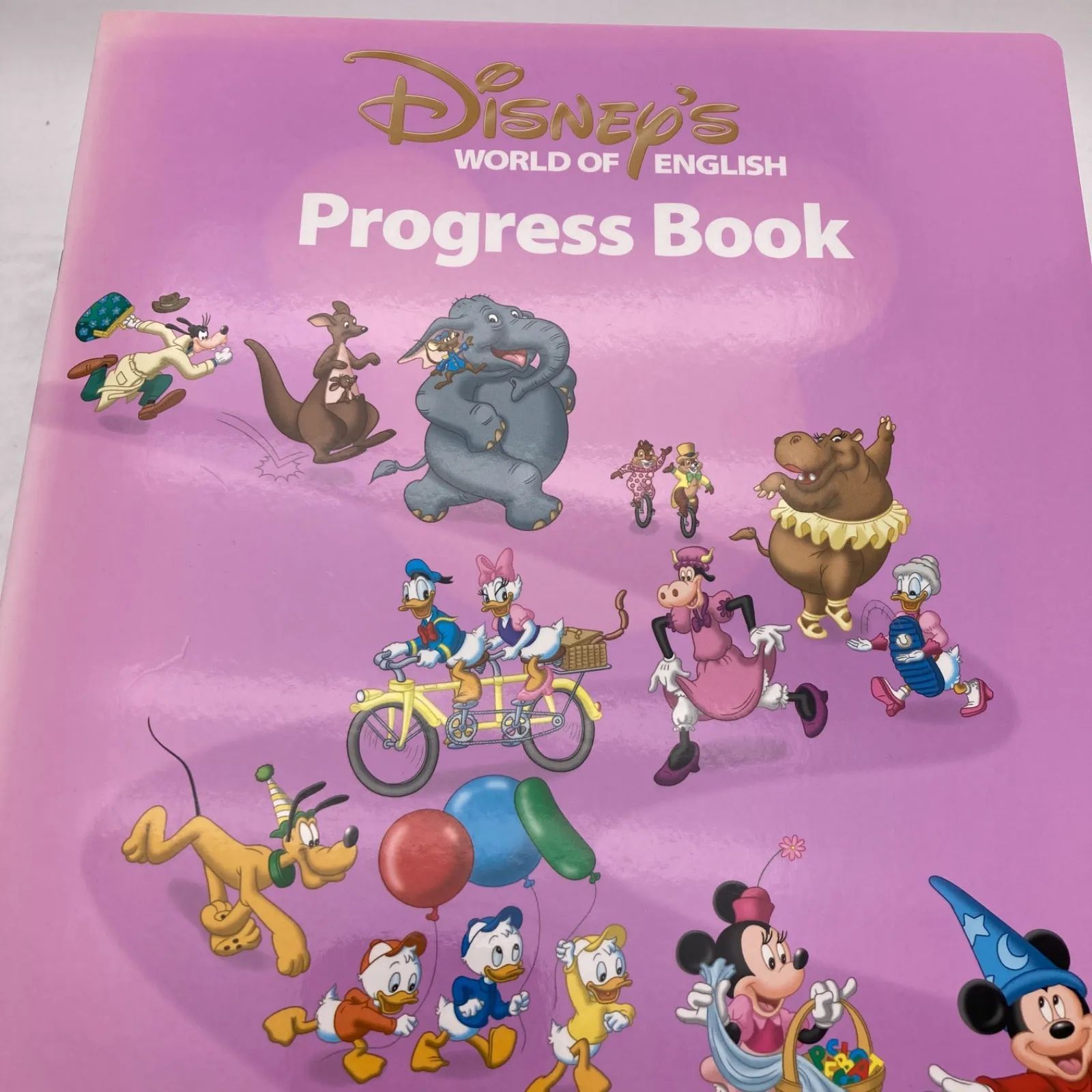 メインプログラム　絵本 CD DVD　ディズニー英語システム　600621 2016年購入 メインプログラムセット 絵本 CD DVD24枚 新子役