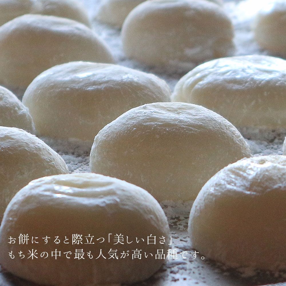 6年産 山形産 もち白米(ヒメノモチ) ３０kg ヒメノモチ 新米 令和6年産 高級 もち米 30kg 山形県産 白米