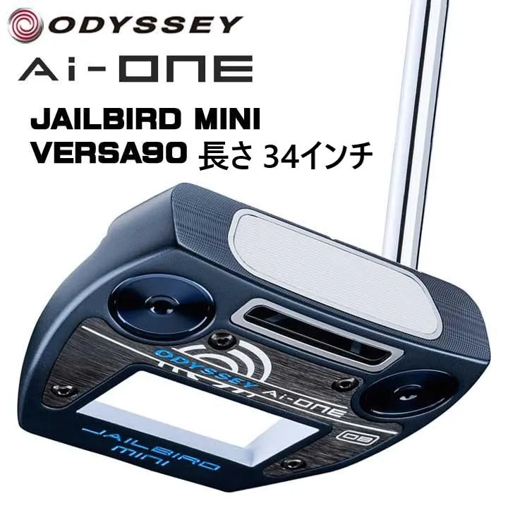2025年最新】オデッセイ versa jailbirdの人気アイテム - メルカリ