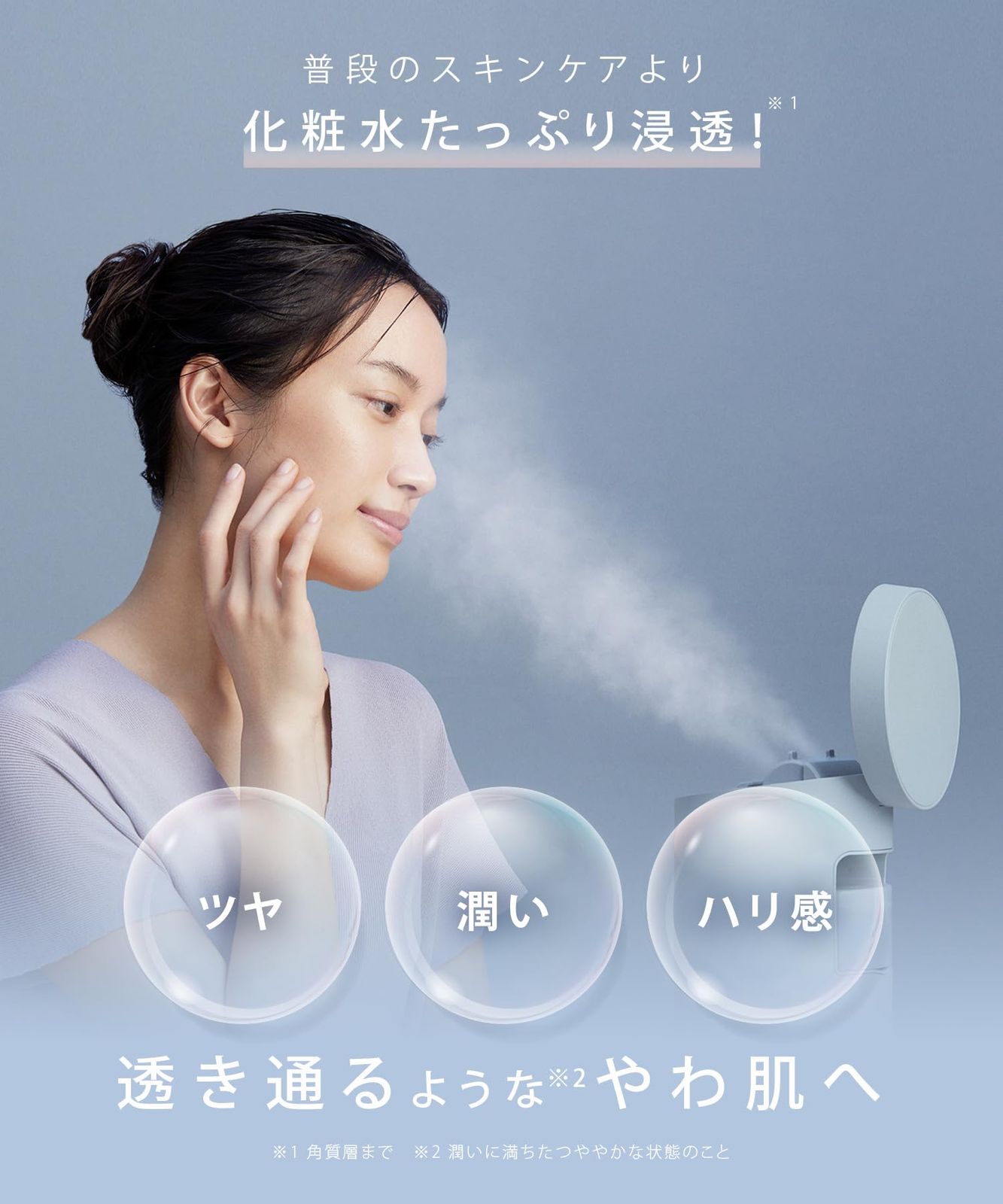 SALONIA 美顔器 クールミスト機能付き グレー Amazon.co.jp: SALONIA サロニア ピュアブライト スチーマー