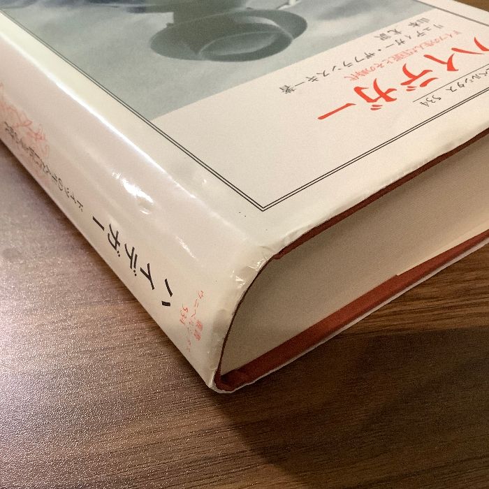 ハイデガー: ドイツの生んだ巨匠とその時代 (叢書