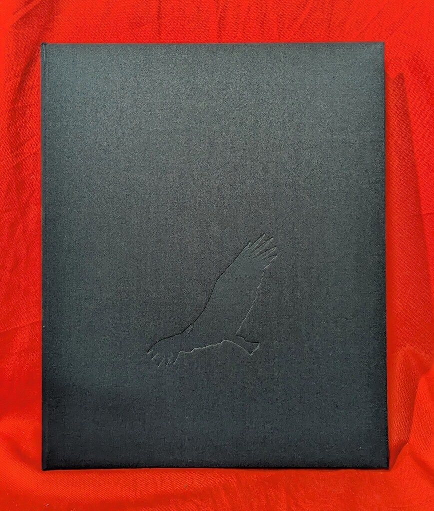 RJ Muna FLEETING GESTURES