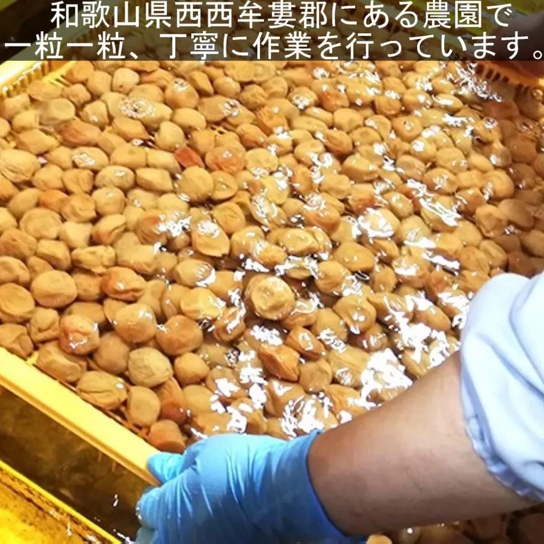 のサムネイル