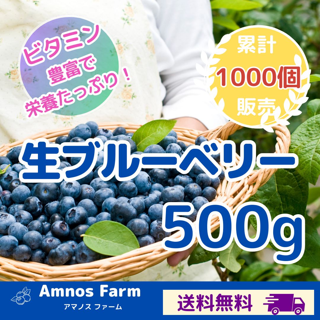 千葉県産】農薬不使用 生ブルーベリー500g - メルカリ
