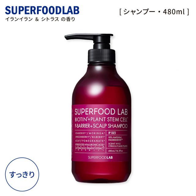 슈퍼푸드 라보 스칼프 샴푸 비보호 두피용, 리프레싱 보틀, 480ml, 남성용 및 여성용 슈퍼푸드 랩 스칼프 케어 스칼프 논 실리콘 SFL