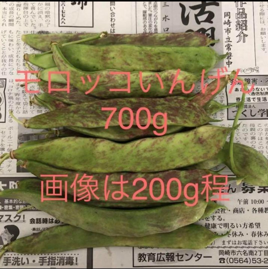 モロッコいんげん(紫花油豆) 700ｇ 長野県産 信州 無農薬 - メルカリ