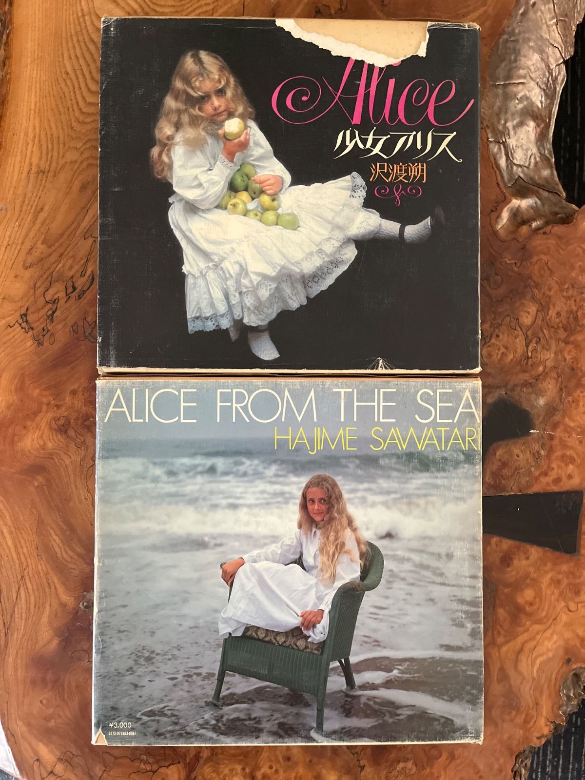 海からきた少女 Alice from the Sea 沢渡朔 - 古本買取販売
