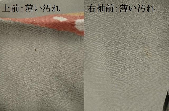 平和屋着物□訪問着 絞り 刺繍 熨斗目花文 金糸 金彩 正絹 逸品 AAAU5960sw