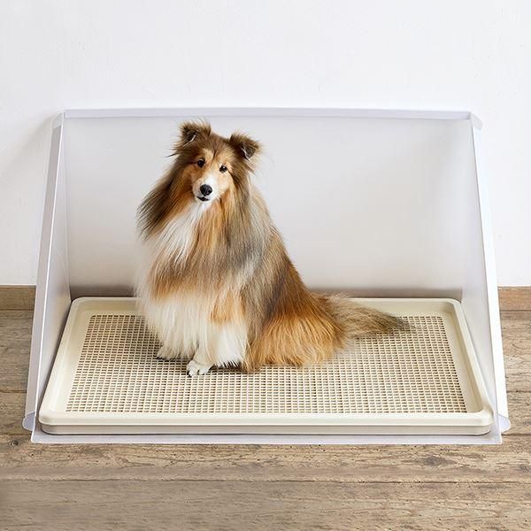 犬猫 衛生用品|トイレ