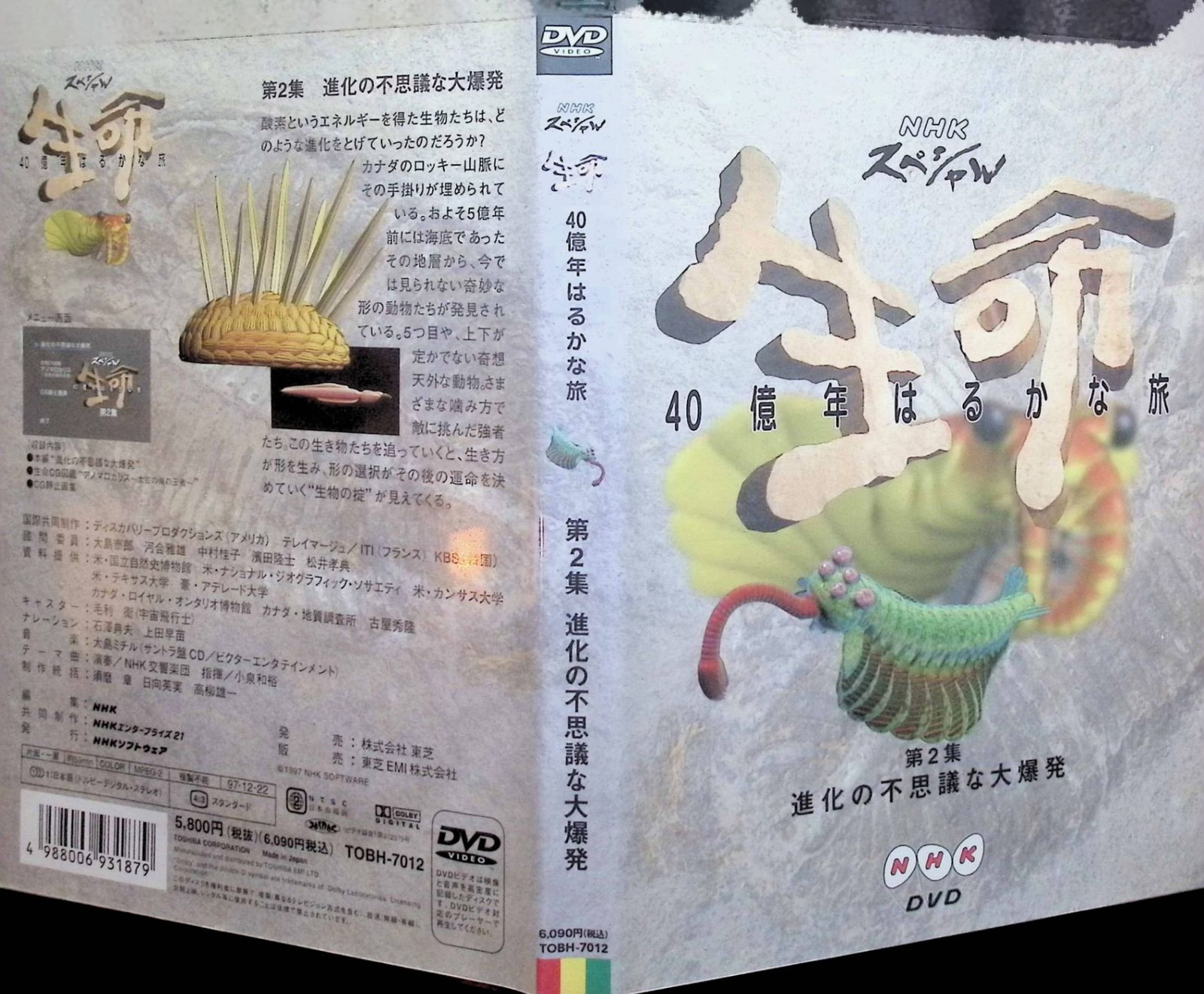 進化の不思議な大爆発 DVD